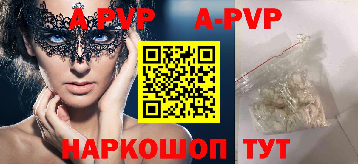 Alfa_PVP СК КРИС Нальчик