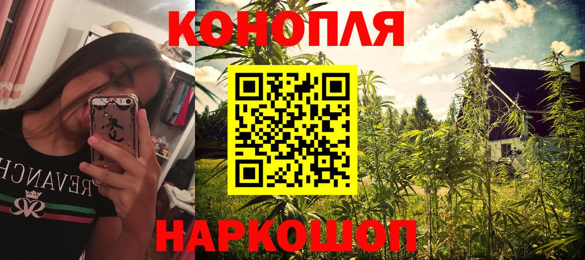 Конопля сатива Нальчик